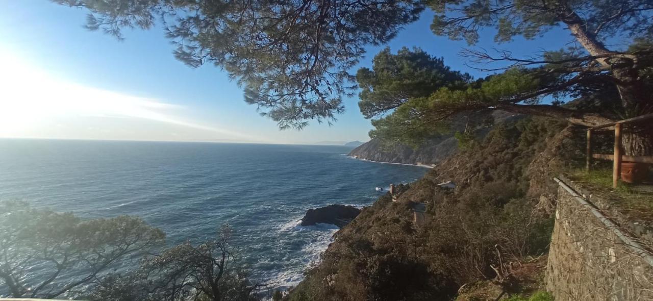 Cinqueterre National Park Sea View Framura Exterior foto