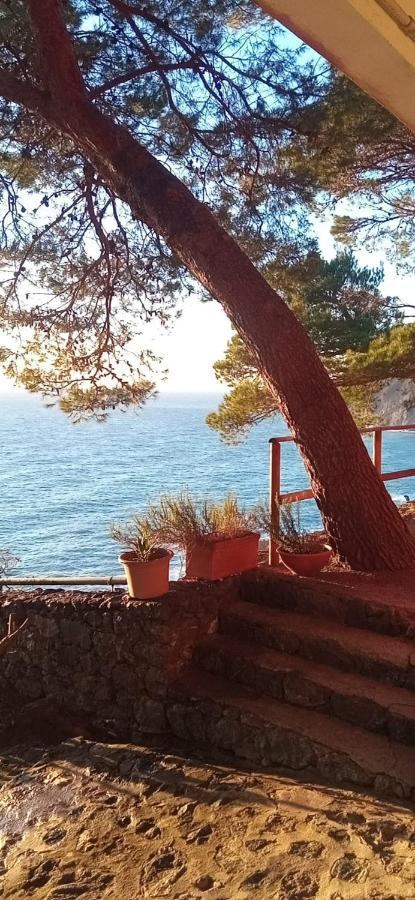 Cinqueterre National Park Sea View Framura Exterior foto