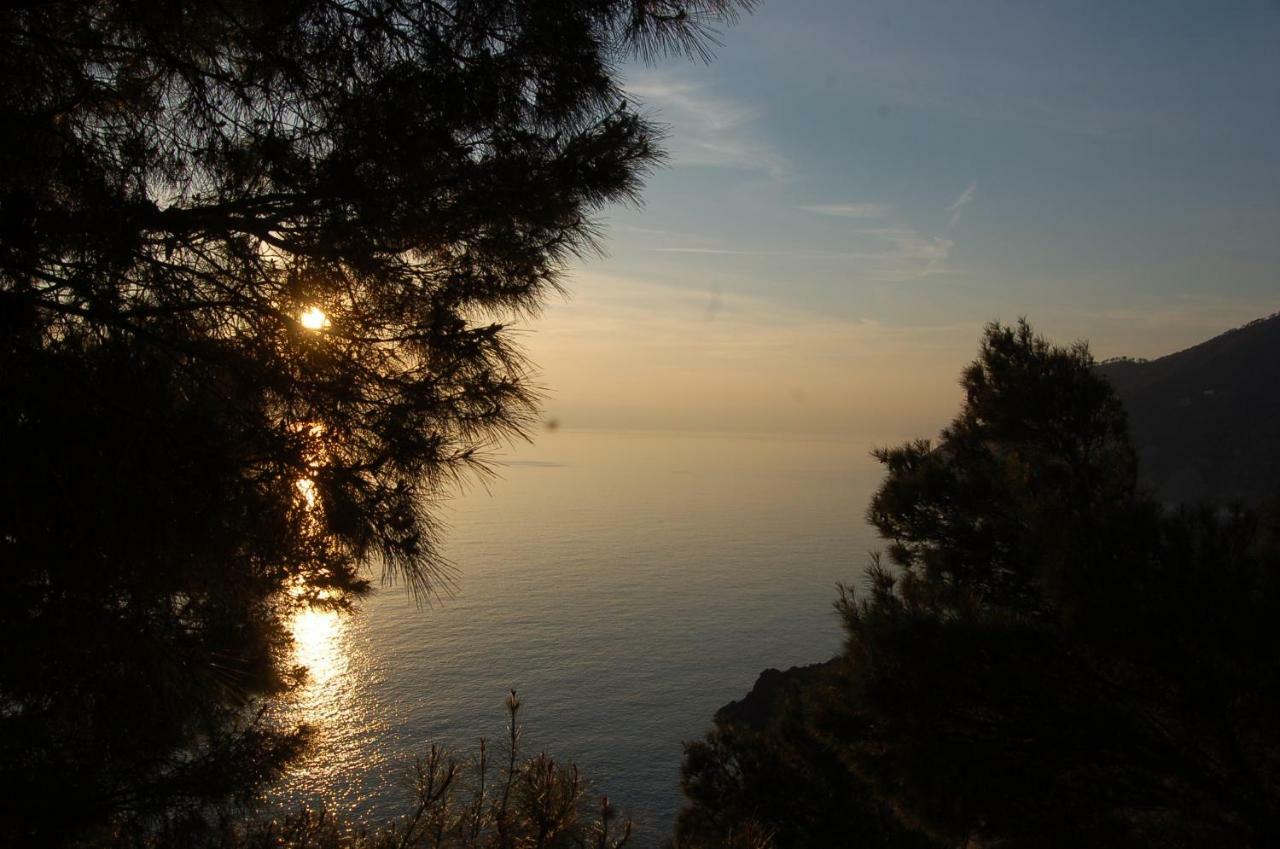 Cinqueterre National Park Sea View Framura Exterior foto